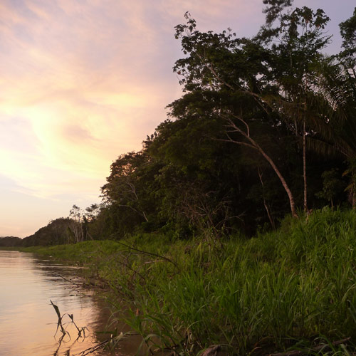 Amazon river.