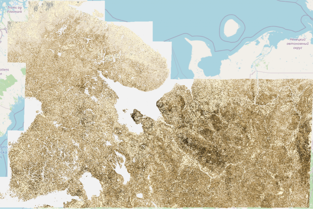 Large scale forest volume map