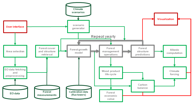 Forest DTEP flowchart